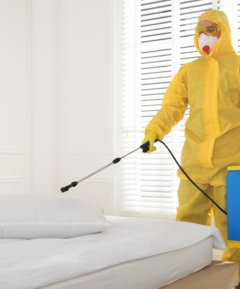Professional Pest Control Team in Millswood